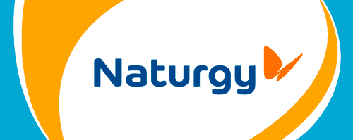 Naturgy logo