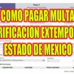 Pago de multa por verificación extemporánea Estado de México